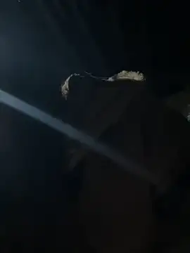 hello-cute online show from 11/12/25, 11:19