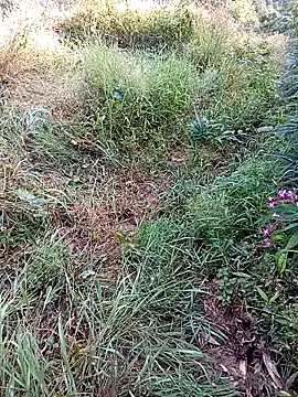 Snapshot of jerry-xx chatting on 10/29/25, 12:53 jerry-xx online show from 10/29/25, 12:53