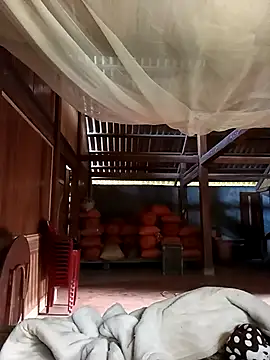 Snapshot of jerry-xx chatting on 12/02/25, 08:05 jerry-xx online show from 12/02/25, 08:05