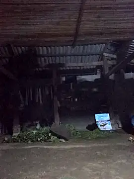 jerry-xx online show from 03/28/26, 10:11