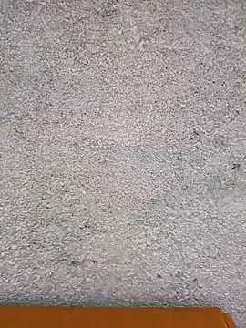 Ut kanchna online show from 11/26/25, 12:43