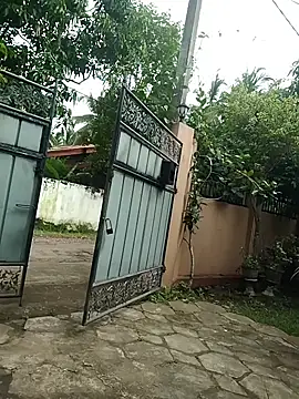 SL BEAR online show from 12/18/25, 07:57