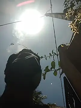 SL BEAR online show from 04/19/26, 06:47