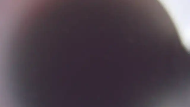 Stefano Calle online show from 12/03/25, 11:42