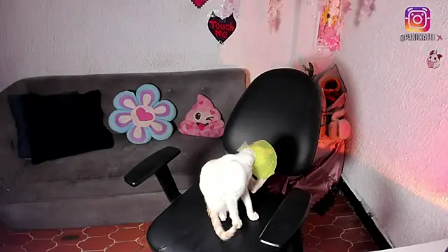 Emilycollei online show from 04/11/26, 07:45