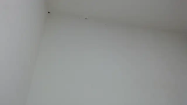 drako monster online show from 01/31/26, 09:46