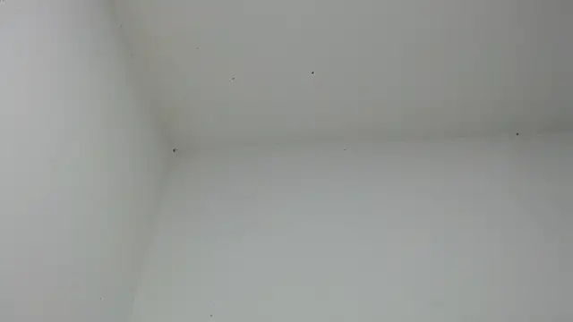 Snapshot of drako_monster chatting on 12/18/25, 06:51 drako monster online show from 12/18/25, 06:51