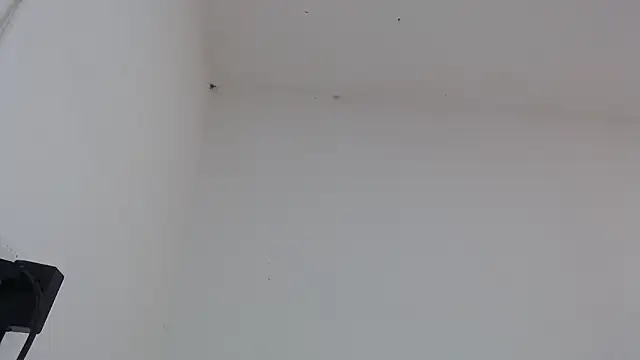 drako monster online show from 02/04/26, 03:18