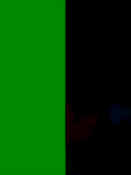 Snapshot of Co_punam chatting on 11/03/25, 03:23 Co punam online show from 11/03/25, 03:23