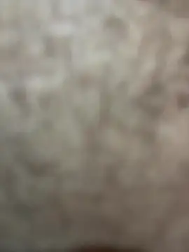 Snapshot of Telugu_dirty_talk_couple chatting on 12/17/25, 01:21 Telugu dirty talk couple online show from 12/17/25, 01:21