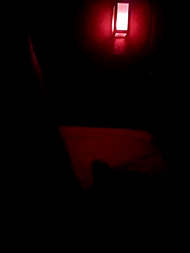 Picamacia20 online show from 01/15/26, 08:29