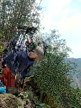 gio-thu online show from 04/11/26, 09:02