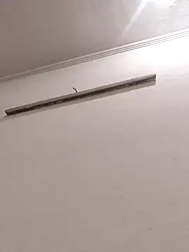 Anchal-8798 online show from 01/08/26, 04:24