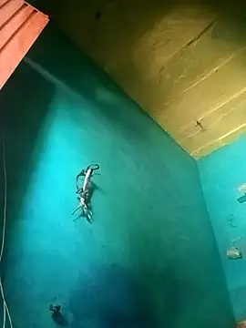 Rt shreya online show from 11/21/25, 06:45