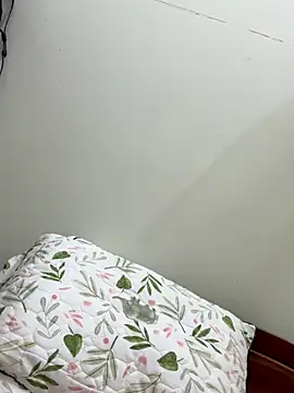 Ha 2660 online show from 10/22/25, 10:15