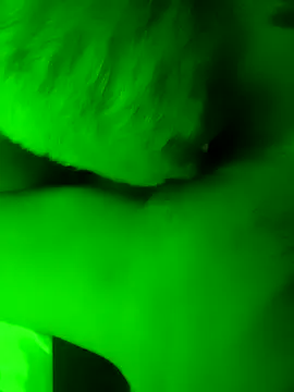 EleRohde online show from 03/28/26, 04:19