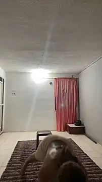 thepicis online show from 03/13/26, 12:26