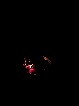 Snapshot of Floridaboy863 chatting on 02/05/26, 03:35 Floridaboy863 online show from 02/05/26, 03:35