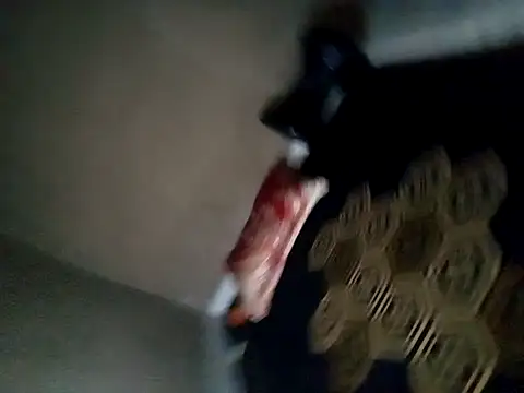 Sugar DBoy online show from 11/04/25, 07:17