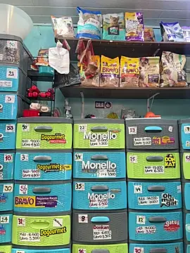 Snapshot of Lucy_699 chatting on 02/25/26, 06:30 Lucy 699 online show from 02/25/26, 06:30