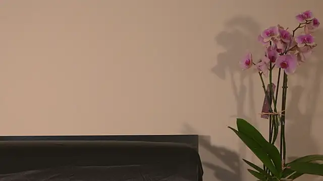 AbrilColls  online show from 03/15/26, 12:17