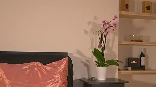 AbrilColls  online show from 03/21/26, 12:34