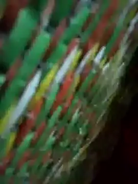 marylove-cc online show from 11/16/25, 05:39