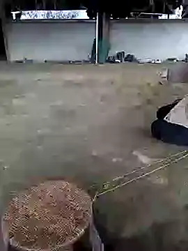 marylove-cc online show from 11/20/25, 02:12