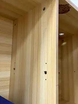 Winona88 online show from 11/06/25, 09:02