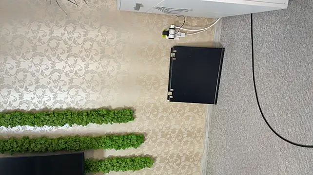 OliviaCart online show from 04/10/26, 02:02