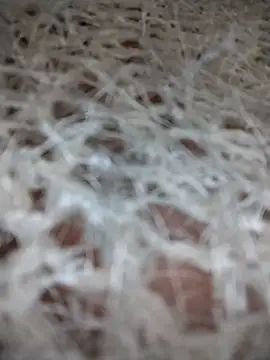 azul vera online show from 12/01/25, 12:00