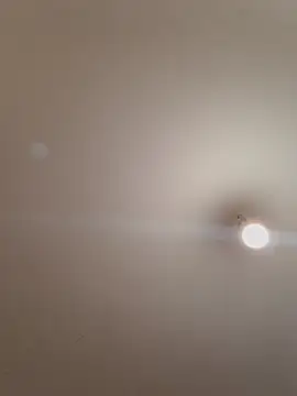 Snapshot of labellerose chatting on 11/14/25, 06:11 labellerose online show from 11/14/25, 06:11