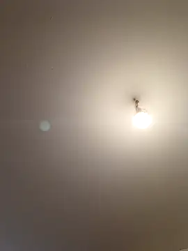 labellerose online show from 04/05/26, 05:19