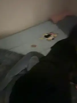 MISA 02 online show from 02/09/26, 10:02