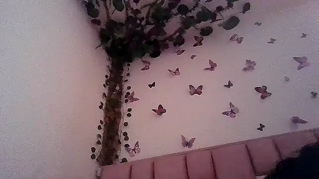 abby moss 2 online show from 06/12/26, 12:47