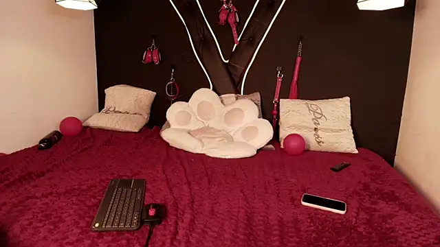 cookie bit online show from 04/01/26, 12:13