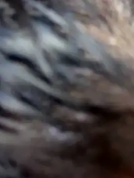 Swweet Miia1 online show from 03/01/26, 03:06