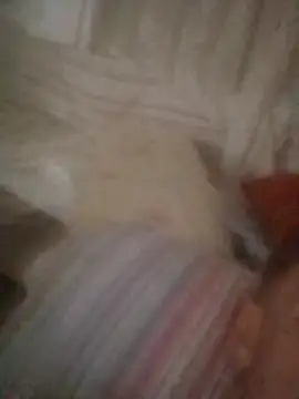 Graimito online show from 10/11/25, 11:00