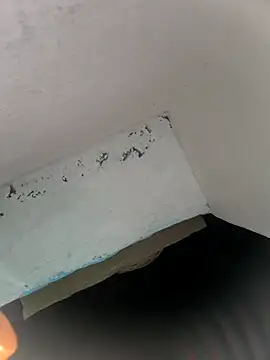 Snapshot of rasmi_powar chatting on 11/08/25, 11:08 rasmi powar online show from 11/08/25, 11:08