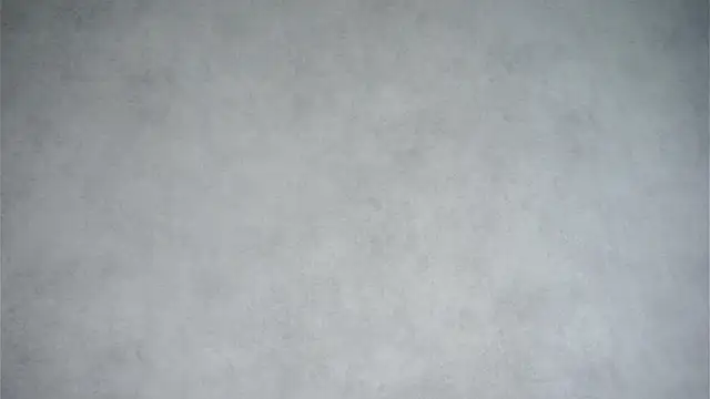 MonetLeitman online show from 04/11/26, 01:24