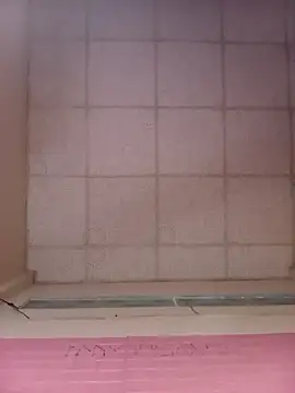 Snapshot of Cherry_pusy99 chatting on 10/30/25, 12:25 Cherry pusy99 online show from 10/30/25, 12:25