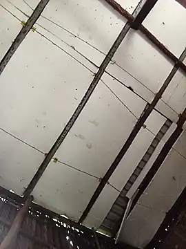 Snapshot of Cherry_pusy99 chatting on 11/14/25, 01:09 Cherry pusy99 online show from 11/14/25, 01:09