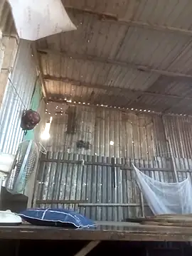 Dothanhthuan555 online show from 03/25/26, 02:44