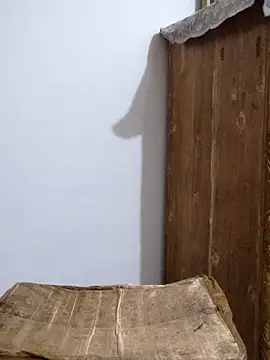 Snapshot of Tanha18 chatting on 11/17/25, 05:28 Tanha18 online show from 11/17/25, 05:28