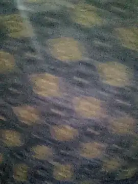 Snapshot of Tanha18 chatting on 12/05/25, 07:01 Tanha18 online show from 12/05/25, 07:01