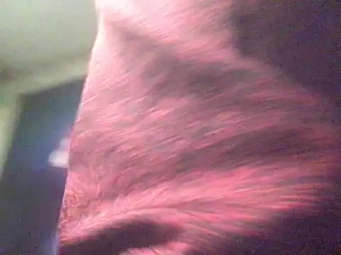 Snapshot of CraveMyCock chatting on 01/13/26, 01:42 CraveMyCock online show from 01/13/26, 01:42
