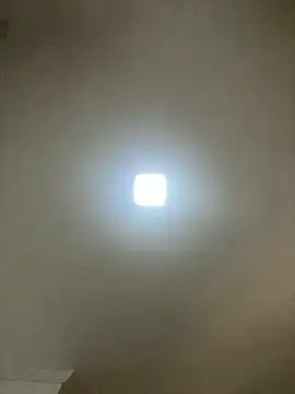 safadinhaquenteW online show from 01/11/26, 04:47