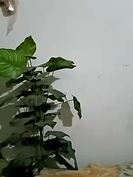 Jessica-03 online show from 03/05/26, 06:04