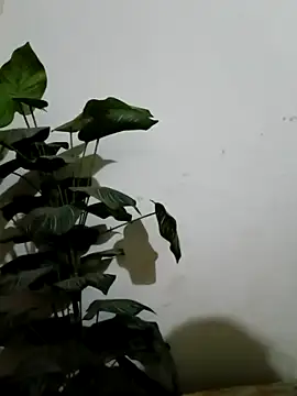 Jessica-03 online show from 03/04/26, 04:59