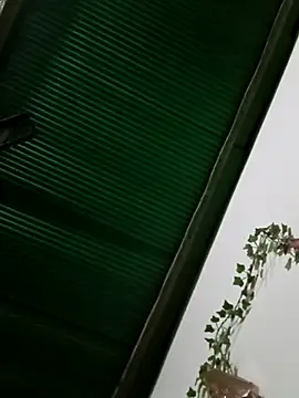 Jessica-03 online show from 11/18/25, 09:40